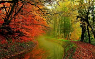 Обои природа, водоём, парк деревья, канал, осень