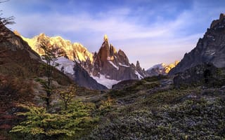 Картинка Timothy Poulton, горы, Патагония, Аргентина, камни, деревья, мох, снега, ледники