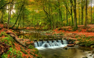 Обои природа, ручей, лес, камни, Ирландия, каскад, осень, мох