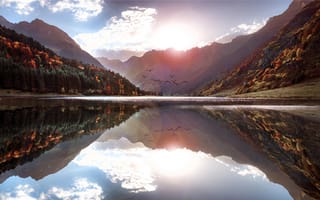 Картинка Didier Laurancy, птицы, пейзаж, леса, горы, природа, озеро, осень, Бавария, солнце