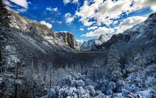Картинка Yosemite, снег, деревья, зима, горы, скалы, лес