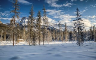 Картинка Banff, Canada, снег, природа, зима, Alberta, National Park