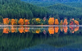 Обои лес, озеро, октябрь