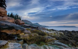 Картинка Rob Hanson, камни, рассвет, пейзаж, океан, берег, Acadia, природа, заповедник, леса