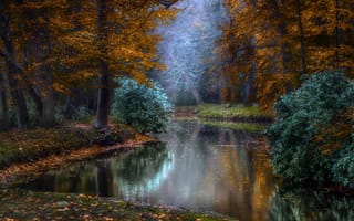 Картинка Jan - Herman Visser, деревья, Голландия, природа, парк, осень, водоём