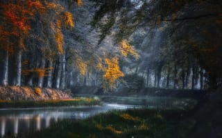 Картинка Jan - Herman Visser, осень, деревья, парк, природа, пруд