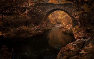 Картинка мостик, кусты, арка, осень