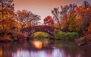 Картинка США, мост, Нью-Йорк, трава, кусты, деревья, пруд, природа, парк, осень