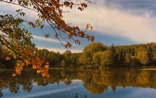 Картинка вода, листья, деревья, отражение, осень