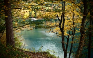 Картинка озеро, деревья, домик, осень