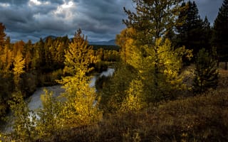 Картинка Осень, Вечер, Glacier, Montana, Природа, Деревья, National Park, Леса, Река