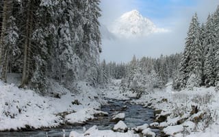 Картинка Зима, вершина, Природа, Снег