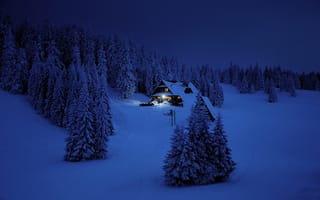 Картинка Зима, домик, Природа, ночь, ели, Снег