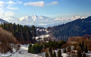 Картинка Горы, Природа, Зима, Леса, Снег, Пейзаж