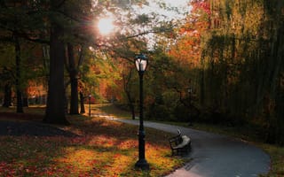 Картинка США, дорожка, деревья, парк, Нью-Йорк, фонари, осень, солнце