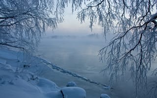 Картинка пейзаж, зима, природа, снег, берег, река, ветки, туман