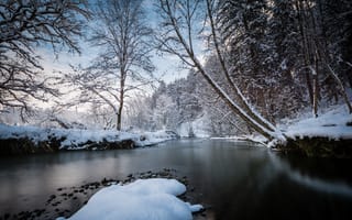 Картинка Зима, Природа, Снег, ветки, река