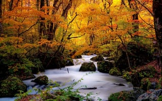 Картинка Япония, природа, осень, лес, пейзаж, ручей