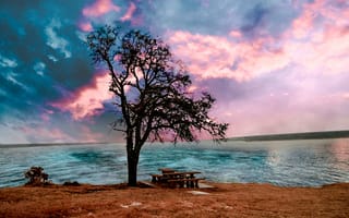 Картинка Дерево, алый закат, красиво, спокойствие перед бурей, место для отдыха, небо, прозрачная голубая вода, река