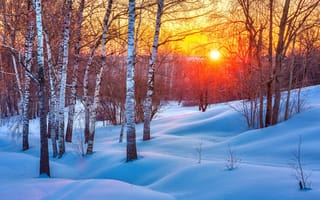 Картинка Зима, Природа, берёзы, Снег, сугробы, закат