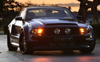 Картинка Ford, GT, черный, Forgiato, Mustang