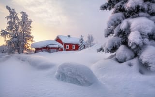 Обои природа, пейзаж, деревья, снег, сугробы, зима, ели, Швеция, домик