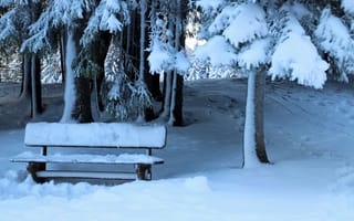 Картинка снег, деревья, зима, парк, скамейка