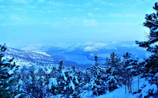 Картинка горы, зима, снег, вид сверху, деревья