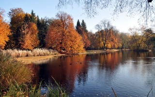 Обои река, краски, осень, деревья
