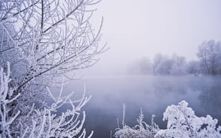 Картинка природа, зима, снег, деревья, туман, кусты, озеро, иней, пейзаж