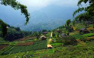 Картинка Вьетнам, Muong Hoa Valley Sapa, Поля, Природа, Дома