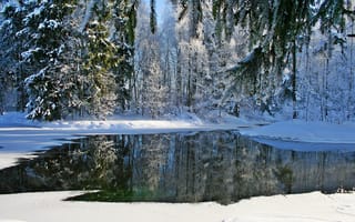 Картинка Гатчина, пейзаж, река, снег, природа, деревья, зима, лес