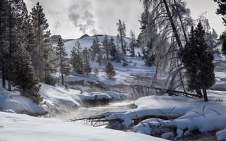 Картинка снег, зима, ручей, деревья