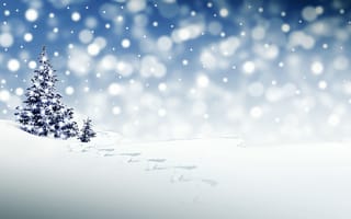 Картинка елка, снег, зима