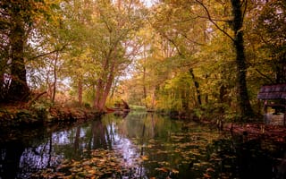Картинка река, осень, листья, лес