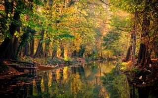 Картинка река, отражение, лодка, лес, осень