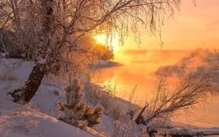 Обои природа, река, кусты, пейзаж, снег, рассвет, берега, утро, деревья, зима