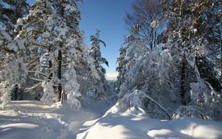Картинка природа, Норвегия, тропинка, небо, деревья, пейзаж, сугробы, зима, снег