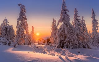 Обои природа, снег, ели, зима, деревья, небо, пейзаж, ёлки, закат, Jоrn Allan, дом, тени, солнце