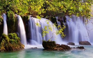 Картинка Водопад, листья, вода, ветки