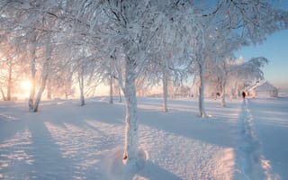 Картинка Пермский край, дом, пейзаж, снег, зима, природа, деревья, тропинка