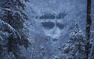 Картинка Snowstorm, пейзаж, деревья, водопад, Kaaterskill, скалы, Falls New York, лес, горы, зима