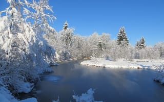 Картинка природа, кусты, пейзаж, озеро, иней, снег, зима, деревья