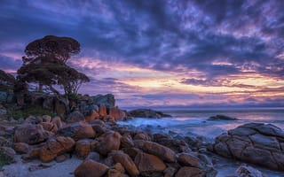 Картинка Шелли Коув, Западная, Австралия, скалы, море, закат, камни, пейзаж, волны, небо, природа