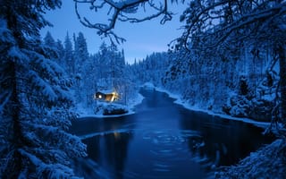 Картинка Andrew Bazanov, ели, Оуланка, заповедник, деревья, свет, река, снег, Финляндия, лес, дом, зима
