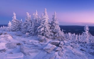 Картинка Tanya Birjukova, Уреньга, природа, камни, вечер, горы, деревья, зима, хребет, пейзаж, ели, снег