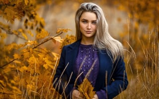 Картинка девушка, Сергей Сорокин, осень