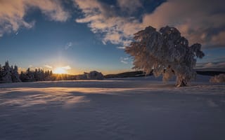 Картинка Зима, Природа, Снег
