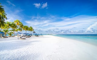 Картинка Мальдивы, пальмы, отдых, океан, курорт, пляж