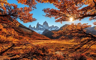 Картинка Италия, деревья, пейзаж, ветки, скалы, солнце, лучи, снега, горы, природа, осень